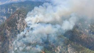 Köyceğiz'de orman yangını! Ekipler müdahale ediyor