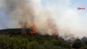 Son dakika! Manisa Kula'da orman yangını