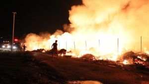 Yalova'daki yangın 2 saatte kontrol altına alındı
