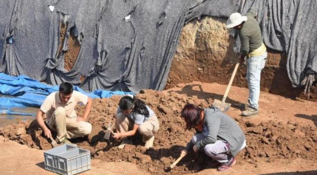8 bin yıl öncesine ait 'balık' figürü bulundu