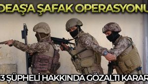 Mersin'de DEAŞ'a şafak operasyonu: 13 gözaltı