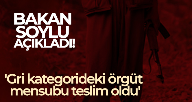 İçişleri Bakanı Soylu: 'Gri kategorideki örgüt mensubu teslim oldu'
