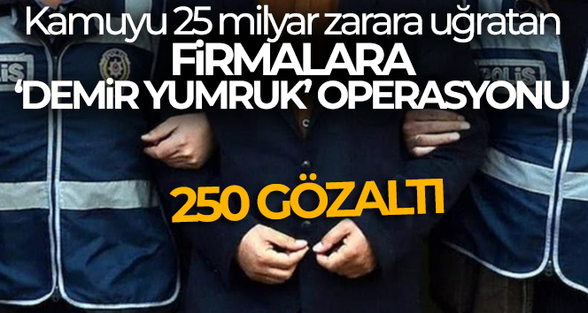Kamuyu 25 milyar zarara uğratan firmalara 'Demir Yumruk' operasyonu: 250 gözaltı