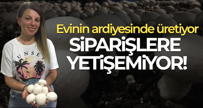 Evinin ardiyesinde mantar üretiyor siparişlere yetişemiyor