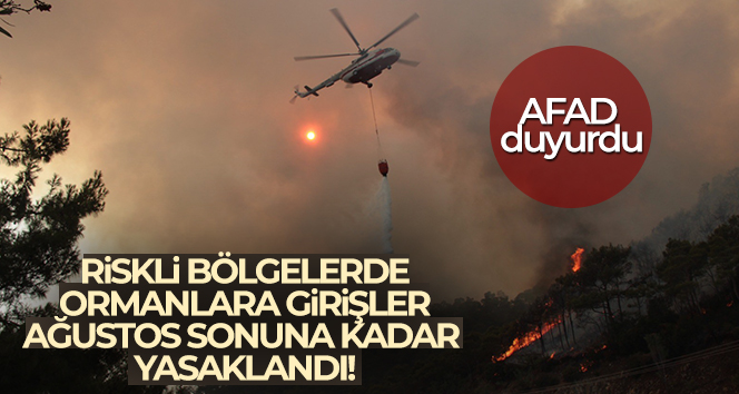 Orman yangını için riskli bölgelere girişler 31 Ağustos’a kadar yasaklandı
