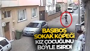 Bursa'da başıboş sokak köpeği kursa giden kız çocuğunu böyle ısırdı