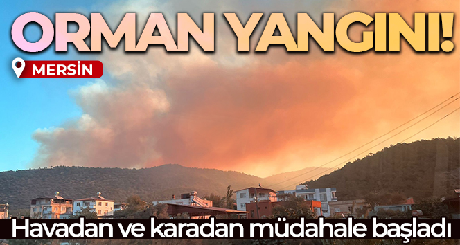 Mersin'deki orman yangını sürüyor: 30 ev tedbiren boşaltıldı