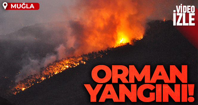 Muğla'nın Ula ilçesinde orman yangın