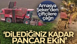 Amasya Şeker’den çiftçilere çağrı: 'Dilediğiniz kadar pancar ekin'