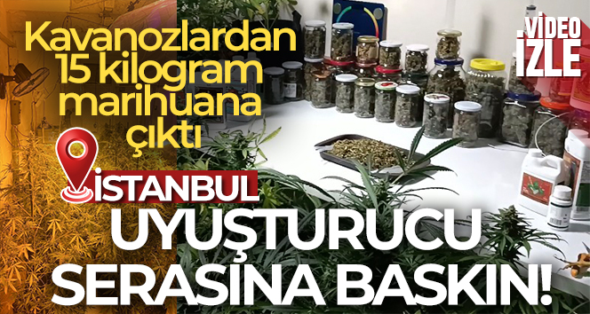 İstanbul’un göbeğindeki uyuşturucu serasına baskın