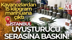 İstanbul’un göbeğindeki uyuşturucu serasına baskın