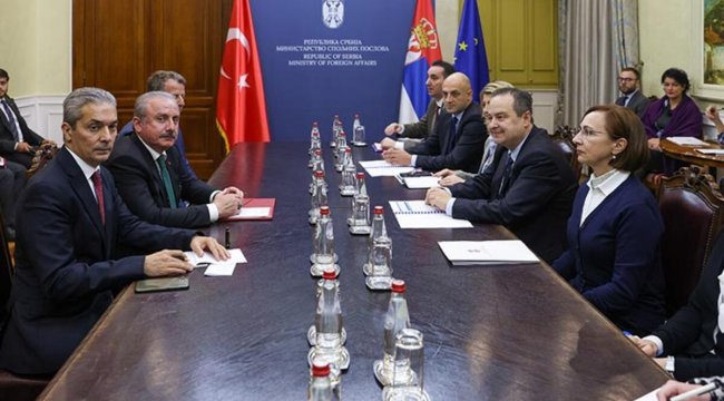 Şentop, Sırbistan Dışişleri Bakanı Dacic ile görüştü