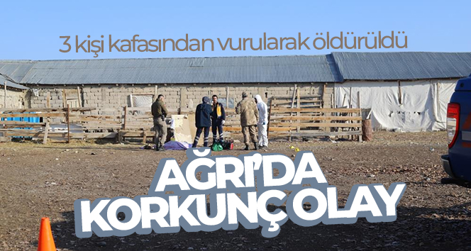 Ağrı’da silahlı saldırı: 3 kişi kafasından vurularak öldürüldü