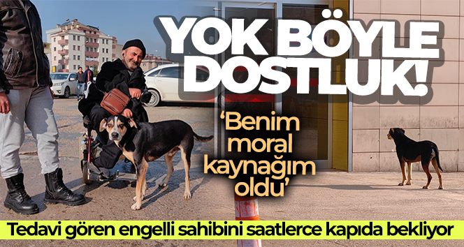 Tedavi gören engelli sahibini saatlerce kapıda bekliyor