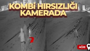 Ağrı'da kombi hırsızlığı güvenlik kamerasına yansıdı