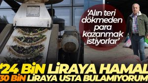 Aydınlı işletmeci isyan etti, aylık 24 bin liraya hamal, 30 bin liraya usta bulamıyorum