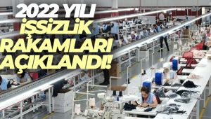 İşsizlik oranı 2022 yılında yüzde 10,4 oldu