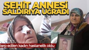 Sokak ortasında saldırıya uğrayan şehit annesi hastanelik oldu