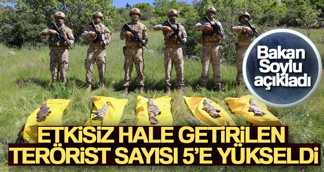 Bakan Soylu, Şırnak’ta etkisiz hale getirilen terörist sayısının 5’e yükseldiğini duyurdu