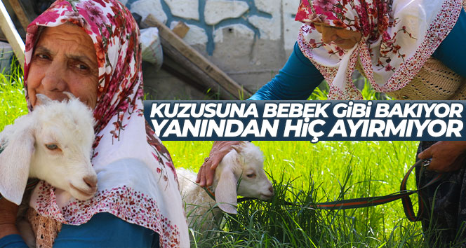 Kuzusuna bebek gibi bakıyor, yanından hiç ayırmıyor