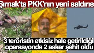 Şırnak'ta 3 teröristin etkisiz hale getirildiği operasyonda 3 asker şehit oldu