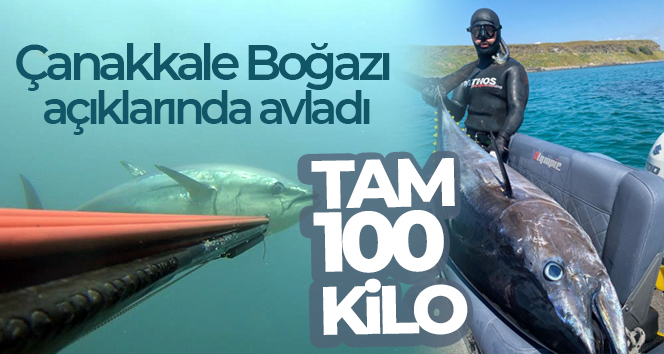 Çanakkale Boğazı açıklarında zıpkınla 100 kiloluk orkinos avladı