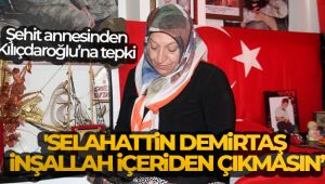 Şehit annesi Aydemir: 'Selahattin Demirtaş inşallah içeriden çıkmasın'
