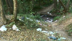 Belgrad Ormanı'nda isyan ettiren görüntü! 18 ton çöp toplandı