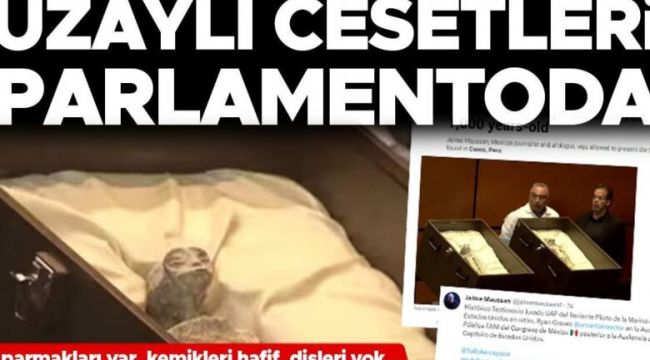 'İnsan olmayan' canlılara ait olduğu öne sürülen bin yıllık fosiller Meksika parlamentosunda sergilendi. Araştırmacılar yeminli beyanlarında söz konusu kalıntıların başka bir türe ait olduğunu öne sürdü.