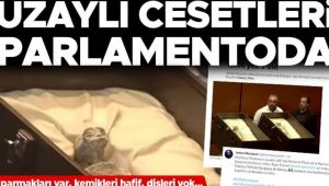 'İnsan olmayan' canlılara ait olduğu öne sürülen bin yıllık fosiller Meksika parlamentosunda sergilendi. Araştırmacılar yeminli beyanlarında söz konusu kalıntıların başka bir türe ait olduğunu öne sürdü.