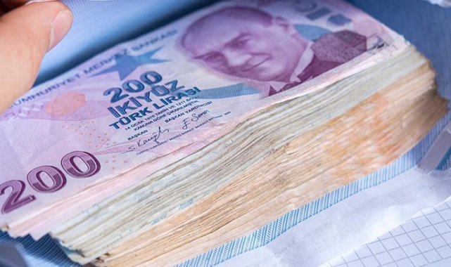 TÜİK Haziran'da en çok kazandıran yatırım aracını açıkladı